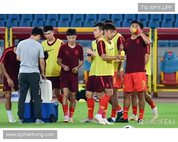 湘潭队奋力拼搏展现足球风采 积极备战提升实力迎接未来挑战