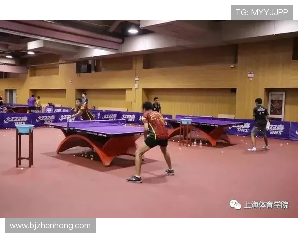 乒乓球的荣耀与奋斗：北京乒乓球队的成长与突破之路纪实