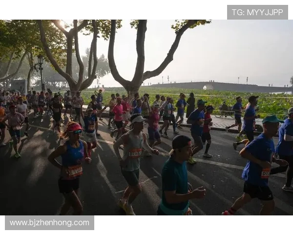 城市马拉松特别报道：杭州飞盘队如何在逆境中崛起的奋斗历程