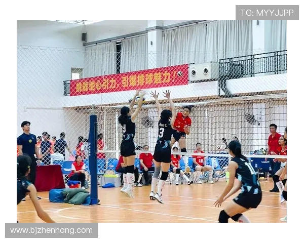 深圳排球队跻身全国排球技术排行榜第十名展现强劲实力与潜力