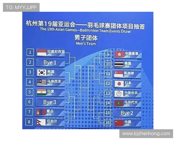 羽毛球盛宴揭秘杭州羽毛球队的实力与发展历程